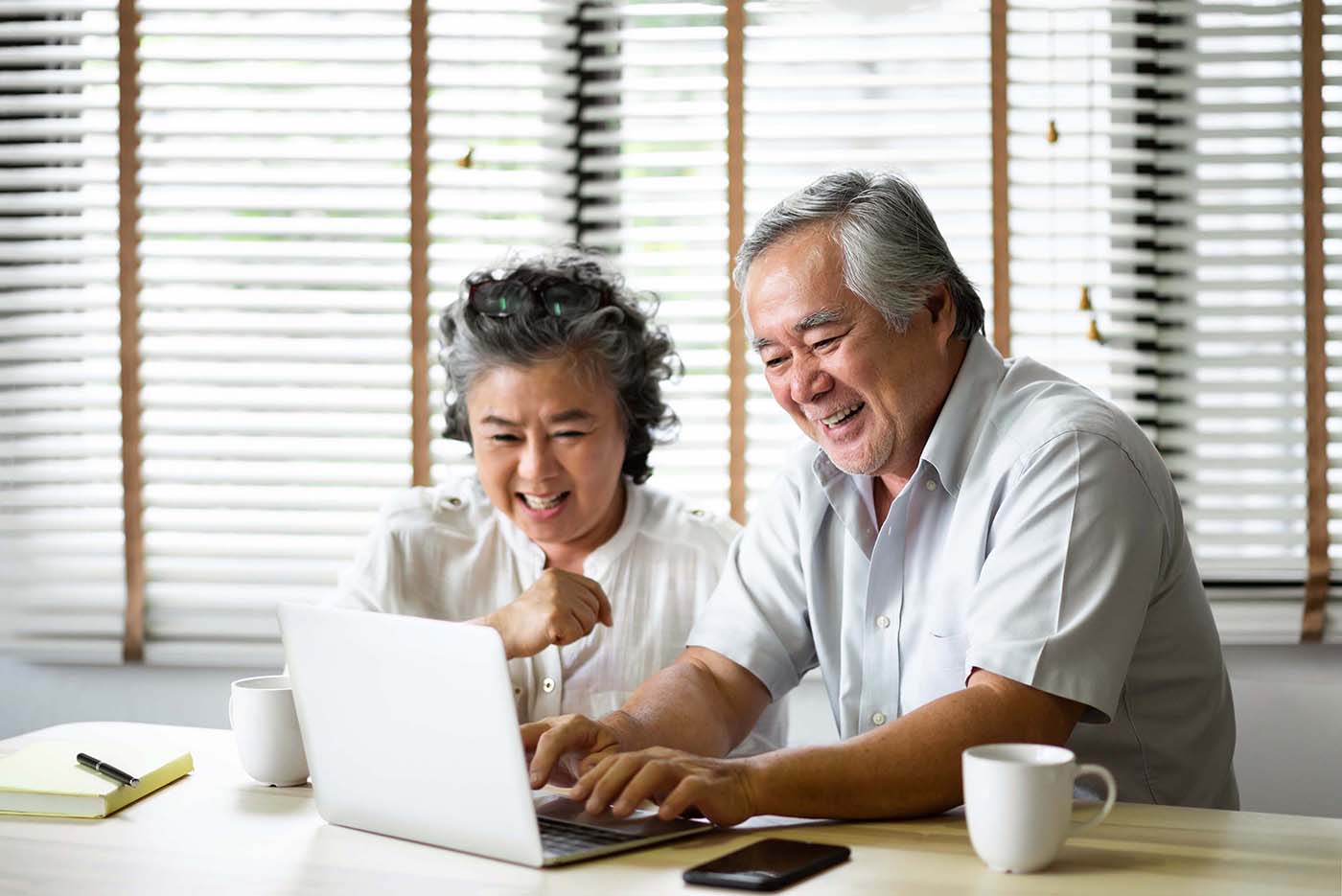 Happy elderly couple doing research online